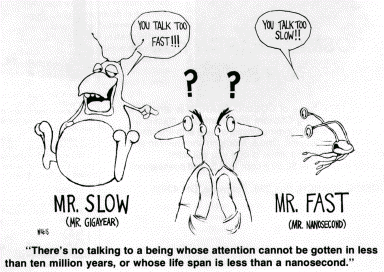 Mr. Slow-Mr. Fast