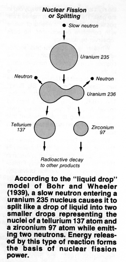 Liquid drop model of Bohr and Wheeler