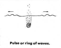 Pulse or ring of waves.