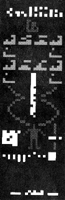 [Arecibo Interstellar Message]